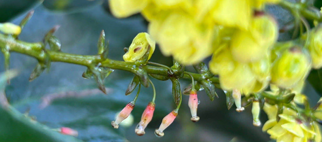 Small Things and Little Wins